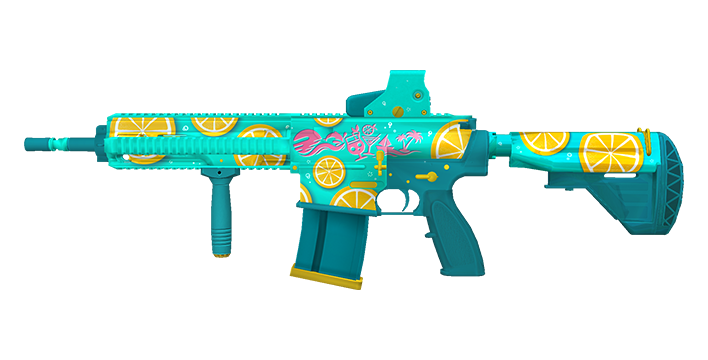 HK417_R_Summer2024