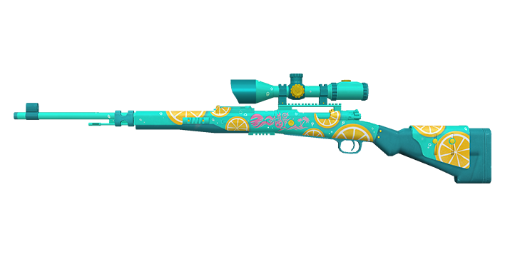 Kar98k_TSR_Summer2024