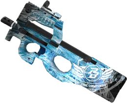 P90 Ext PBNC2017