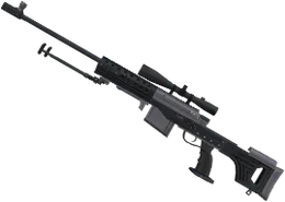 BORA-12