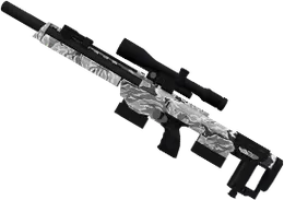 DSR-1 Recamo
