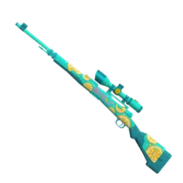 Kar98k TSR Summer2024
