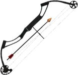 Compound Bow Normal