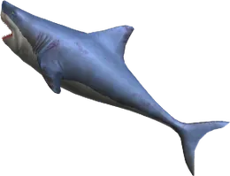 Shark Knife