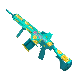 HK417 Summer2024
