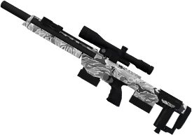 DSR-1 Recamo