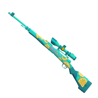Kar98k TSR Summer2024