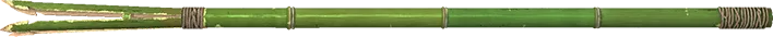 Bamboo Spear