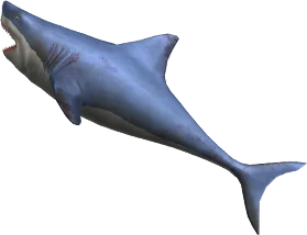 Shark Knife
