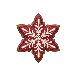 Snow flower Cookie